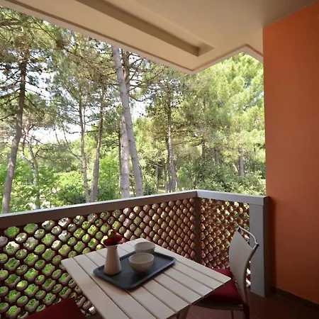 Angela E Pordenone 比比翁